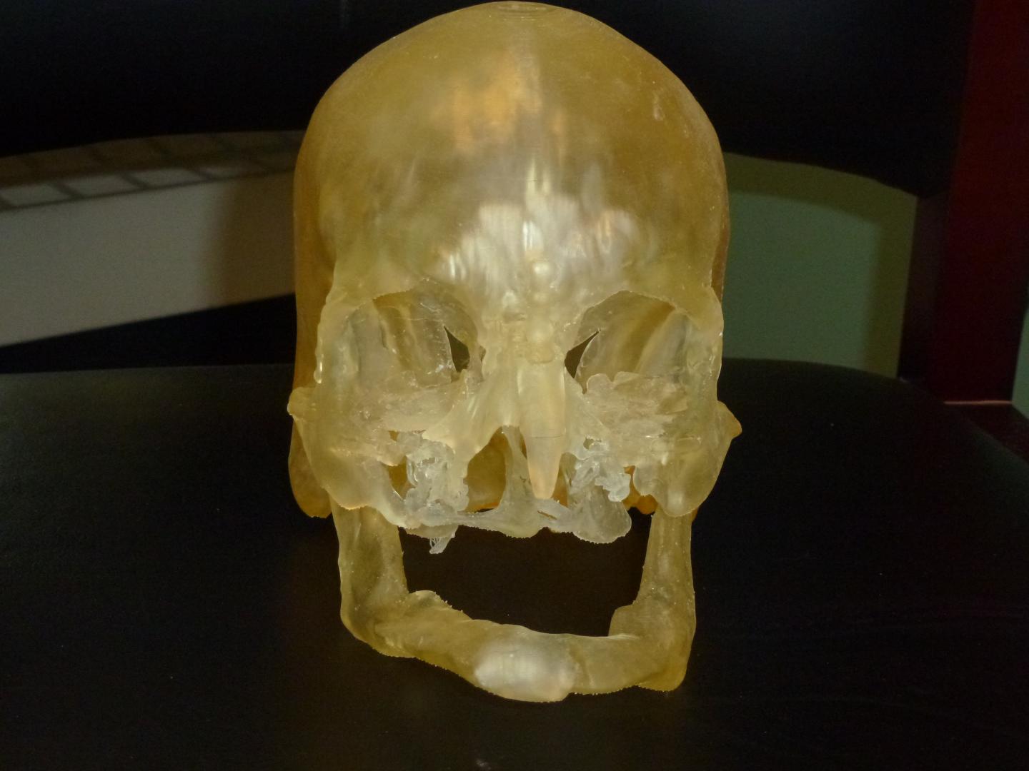 3-D Print Model