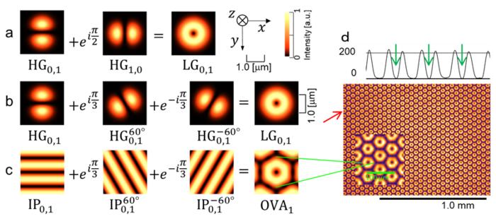 Figure 1. Principle and experimental demonstration of large-scale optical vortex array generation.