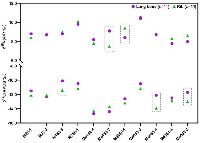 Figure 2 Comparison of δ13C and δ15N values between long bones and ribs of the same individual