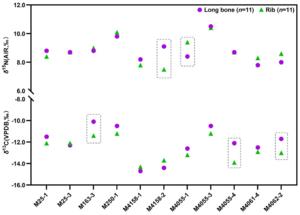 Figure 2 Comparison of δ13C and δ15N values between long bones and ribs of the same individual