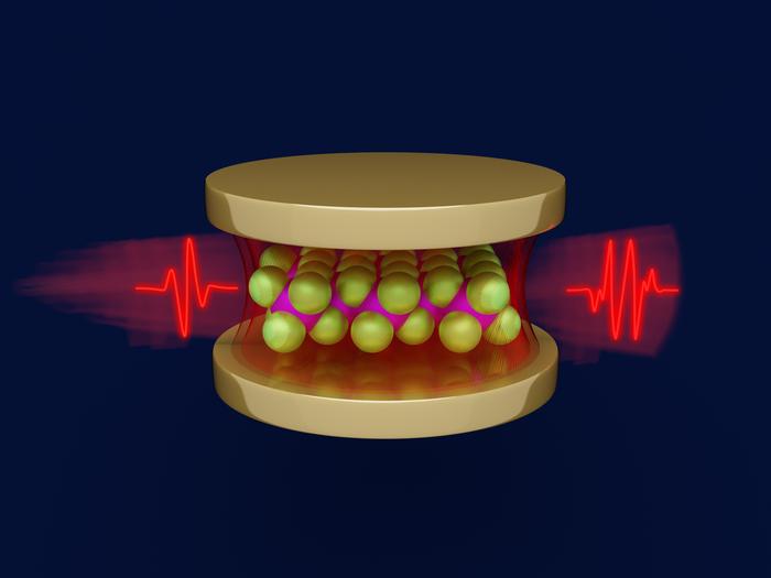 Peering Inside the Quantum Cavity