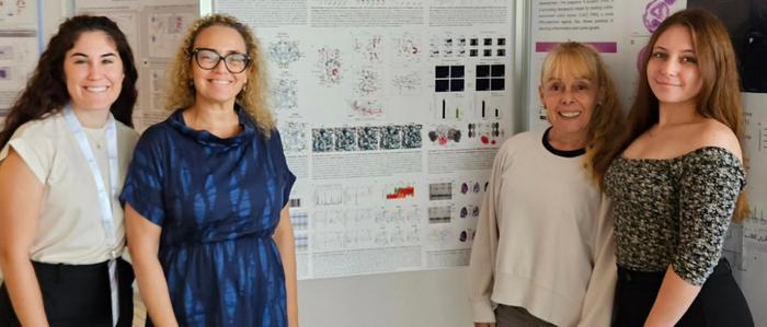 Nuevos descubrimientos sobre la proteína que forma lazos en el genoma humano