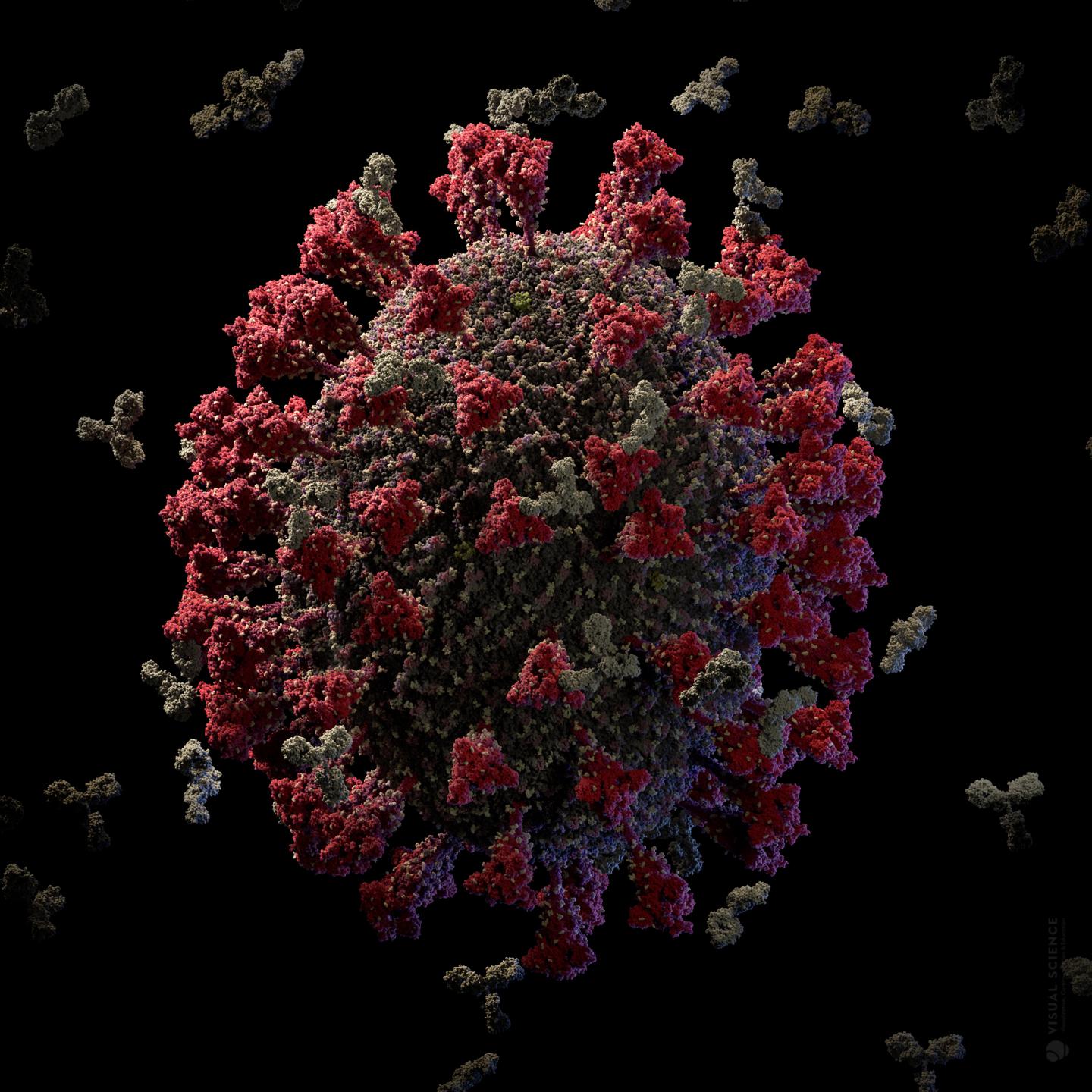 Figure 2