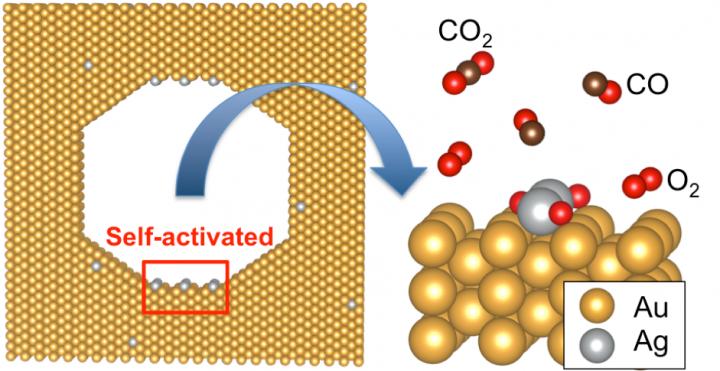 An Active Structure in a Nanoporous Gold Catalyst