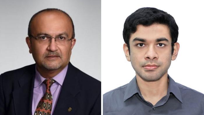 Lehigh Researchers Modeling the Gut-Brain Axis