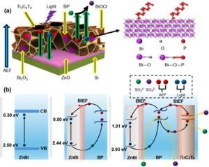 Figure 2 Schematic illustration of the ZnBiPM electrode structure and the corresponding energy-level diagram