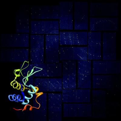 Lysozyme Analysis
