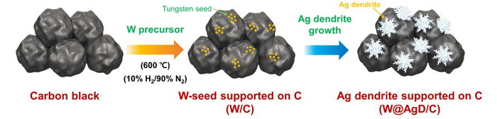 Synthesis process and physical properties of W@AgD/C.