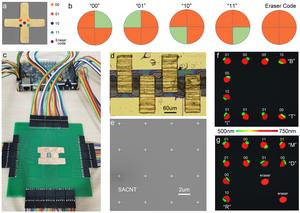 Figure 2 | Schematic and performance of the frequency-dependent encrypted display.