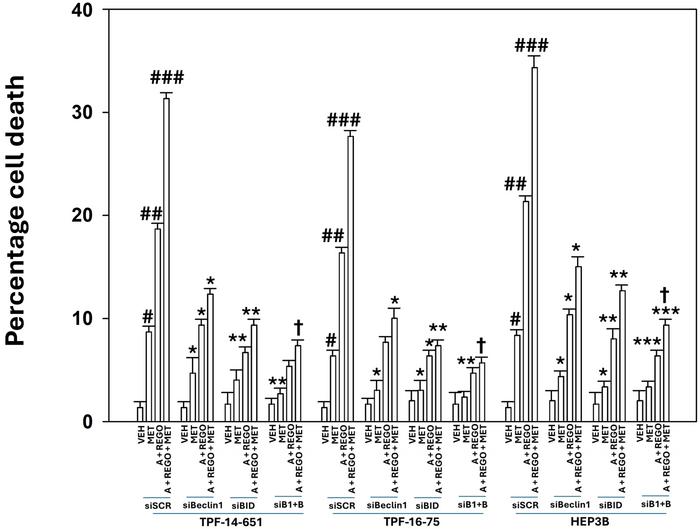 The SCD1 inhibitor aramchol interacts with regorafenib and metformin to kill tumor cells