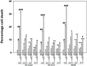 The SCD1 inhibitor aramchol interacts with regorafenib and metformin to kill tumor cells