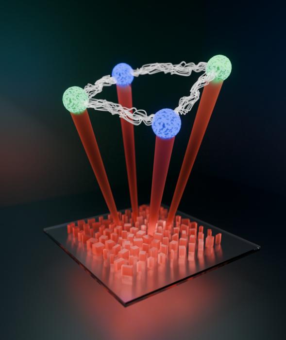 quantum graphs