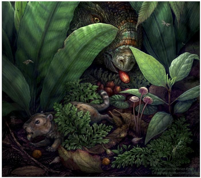 Dinosaurs ate fruit and seeds