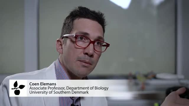 Interview Dr. Coen Elemans