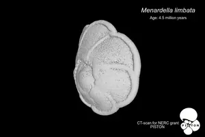 Video of CT scan of foraminifera