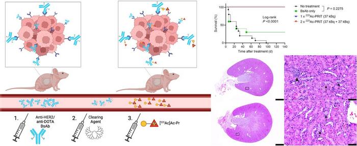 Schematic representation of 3-step HER2-targeted 225Ac-PRIT