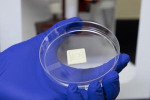 3D Printable Grain Sorghum Protein Gel