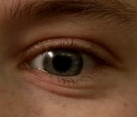 Eye Movement