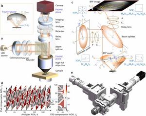 Snapshot Fourier ellipsometry system
