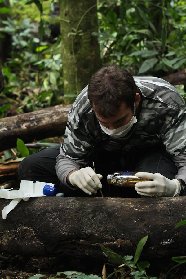 Honey Trap Experiment