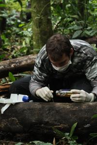 Honey Trap Experiment