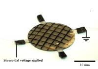 Reconfigurable Actuator GIF
