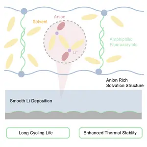 Graphical Abstract