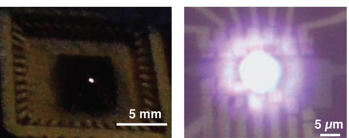 Optical and Micrograph of Bright Visible-Light Emission