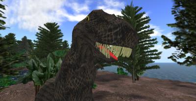 Image from TerraWorld