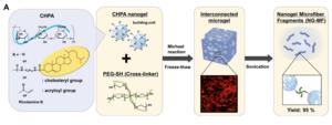 Giving stem cells room to breathe