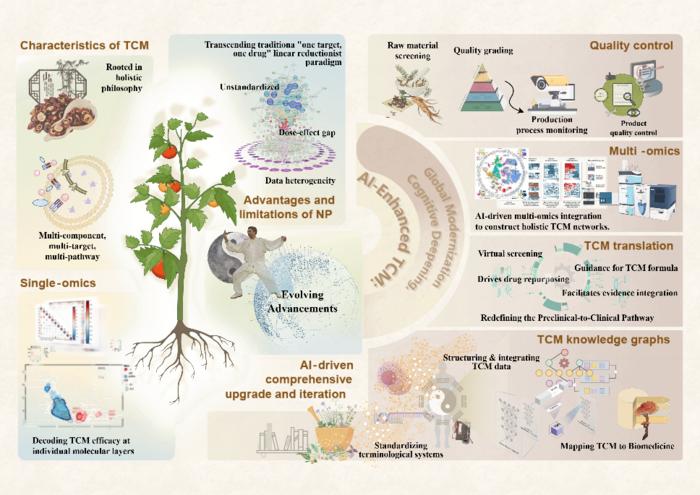 Fig. 1. Conceptual framework of artificial intelligence (AI) -driven transformation in traditional Chinese medicine research.