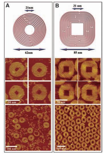 Folding DNA Into Twisty, Curvy Shapes (3 of 4)