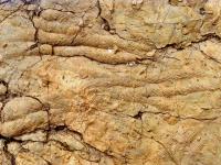 Trilobite trace fossils from the Great Ordovician Biodiversity Event
