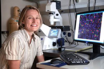 Maike Sander, M.D., University of California - San Diego
