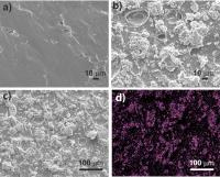 SEM of Bacteria-Resistant Material