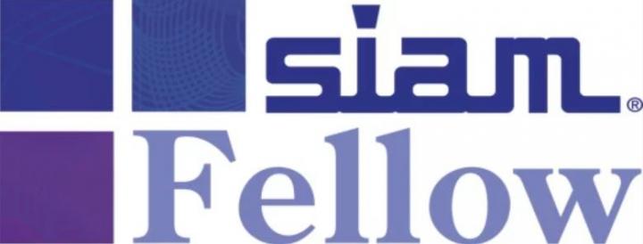 SIAM Fellows Program Logo
