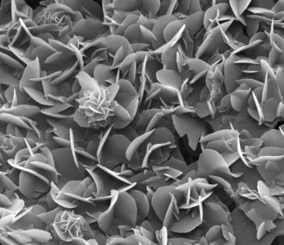 Microflowers