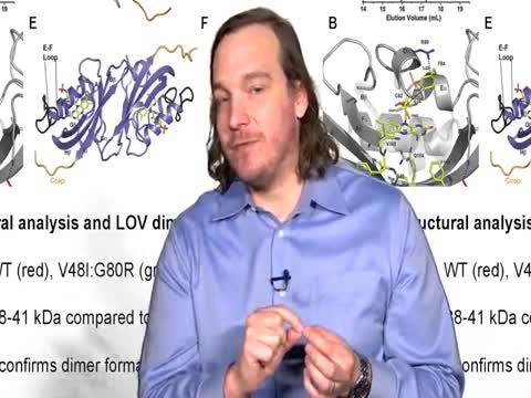 Study Solves Mystery of Time-Keeping in Plants