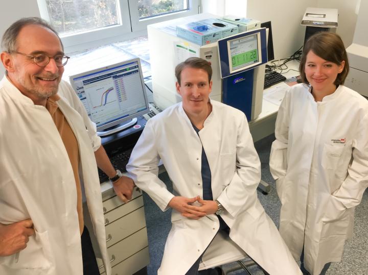 The Research Team