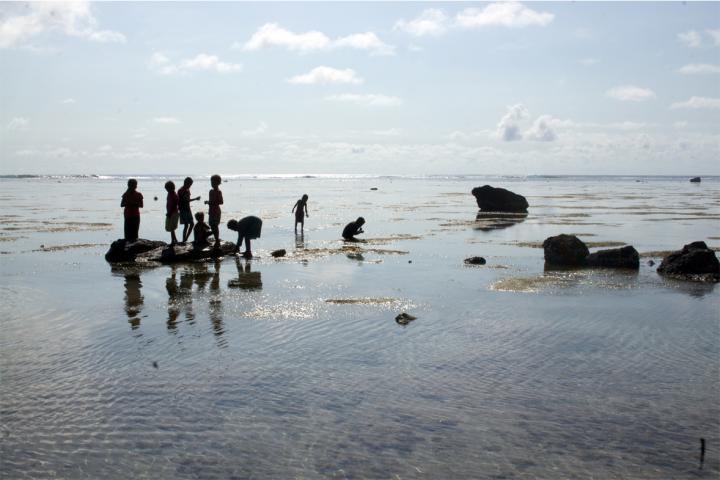 Seafood Gathering Among Agata