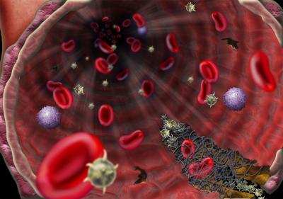 Blood Clotting