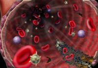 Blood Clotting
