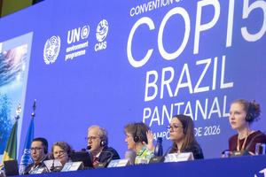 Final plenary, COP15