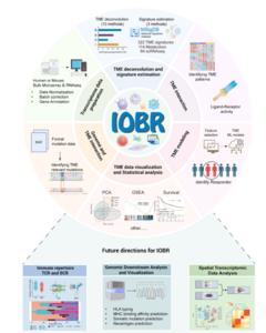 The functional composition and future updates of IOBR
