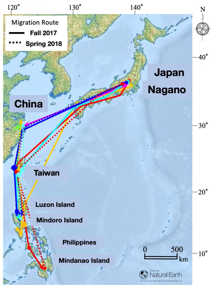 Migration Route Map
