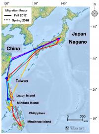 Migration Route Map