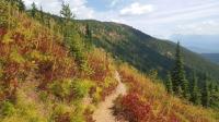 Huckleberry Landscape