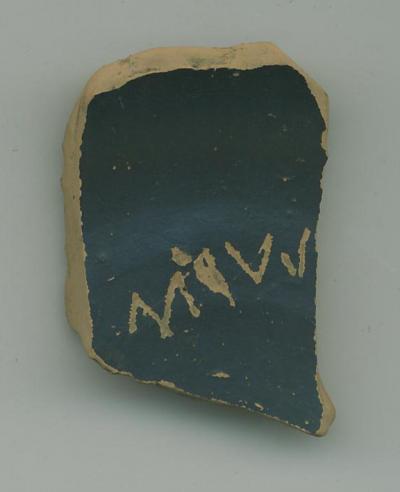 Pottery Shard
