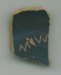 Pottery Shard