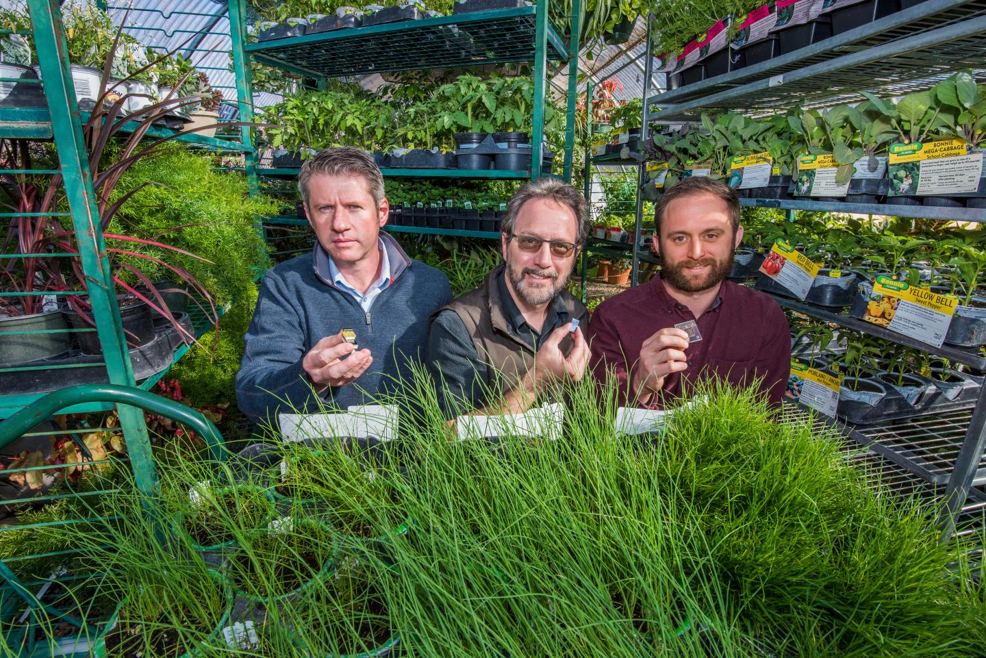 Minature Sensors Monitor Crop Health